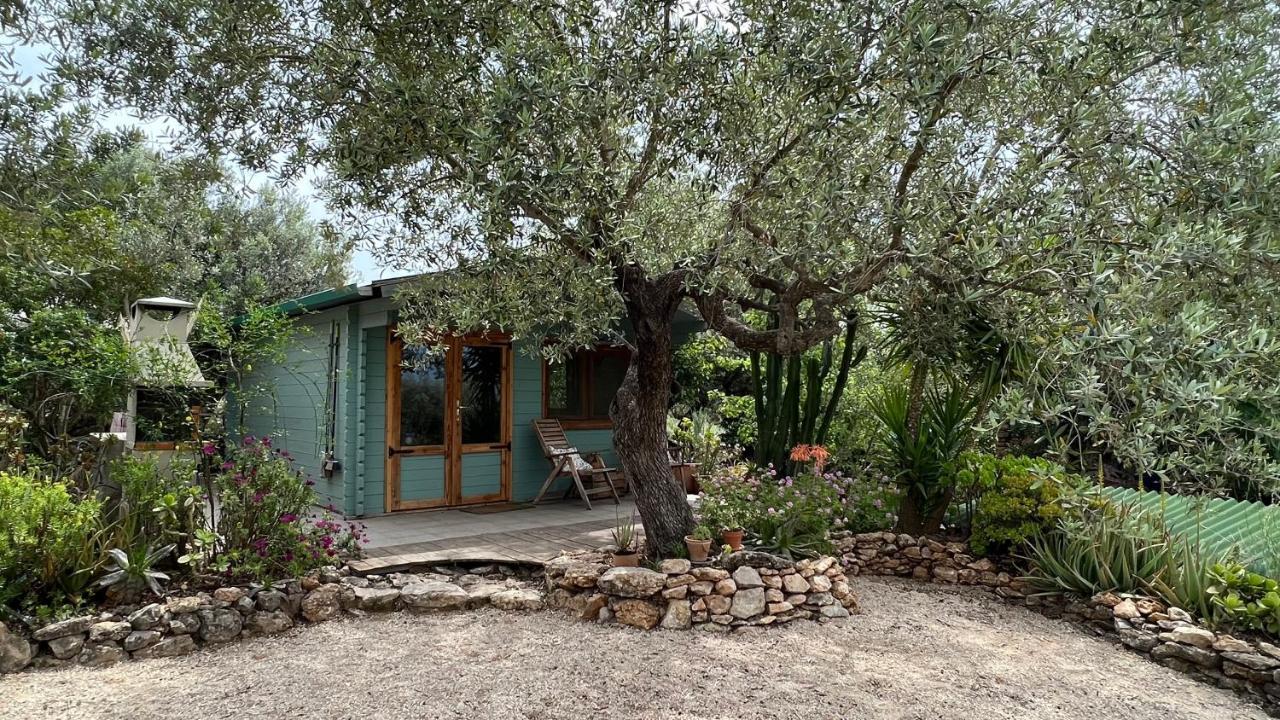 Finca Florecer Tivenys Екстериор снимка